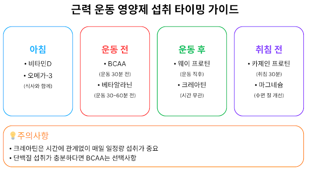 운동 효과 극대화! 근력 운동에 필수적인 영양제 TOP 7 근력 운동 영양제 섭취 타이밍 가이드